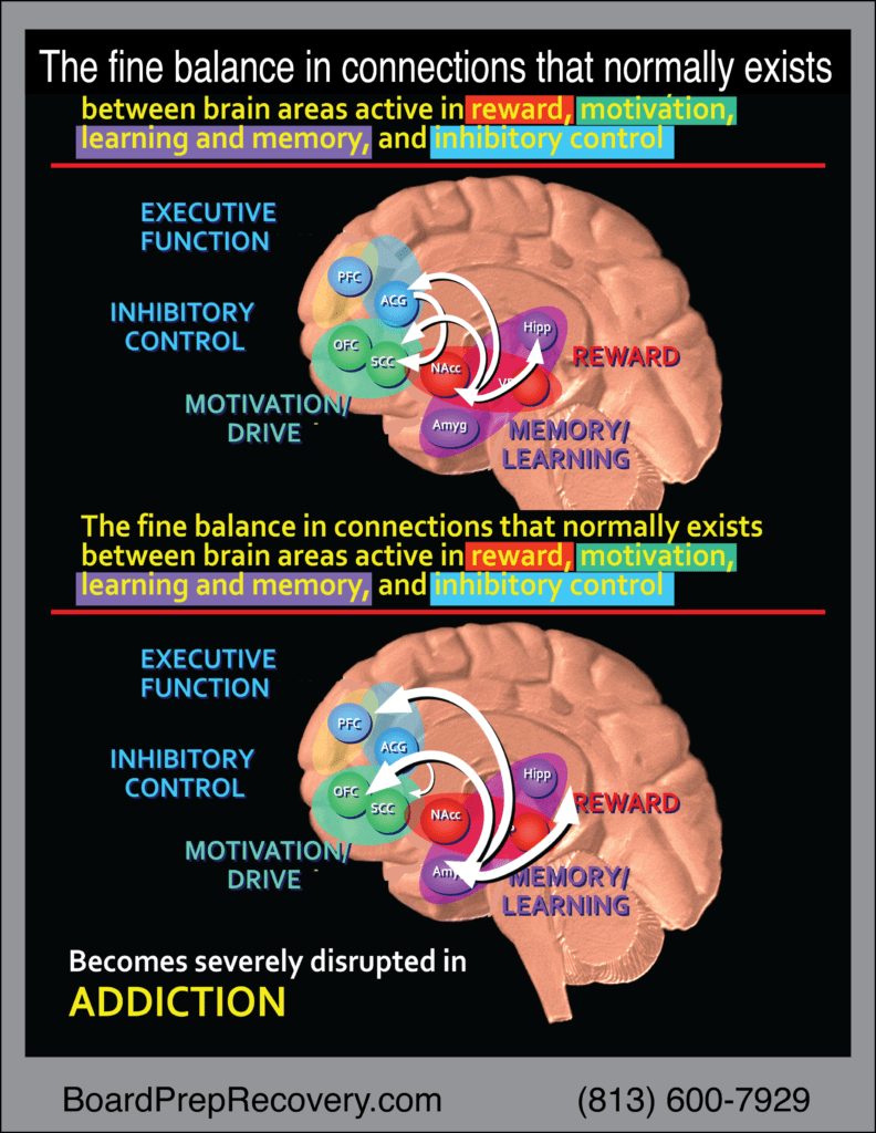drug impact on brain infographic